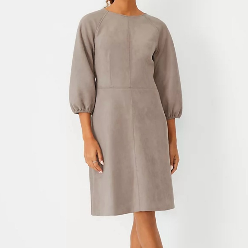 Petite Stitched Faux Suede Flare Dress Anne Taylor Size 2